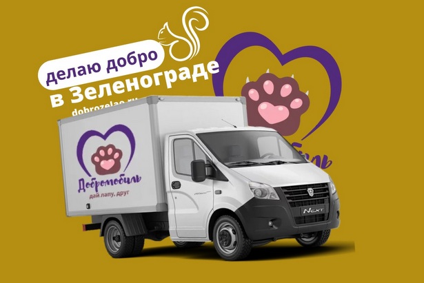 В Зеленограде состоится сбор помощи для бездомных животных 