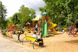 Руководители трех «Жилищников» в Зеленограде оштрафованы за плохое содержание детских площадок