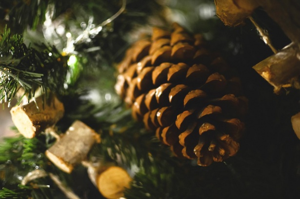 Творческие жители Старого Крюково могут придумать особую новогоднюю елку