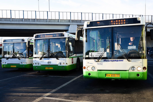 Автоинспекторы призвали граждан сообщать о нарушениях в автобусных перевозках