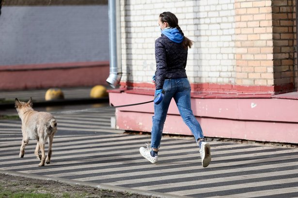 Пожилые москвичи чаще всего просят волонтеров погулять с собакой