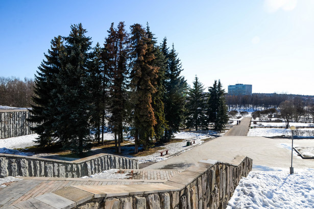 Заместитель мэра пообещал закончить реконструкцию зеленоградского парка Победы в 2019 году