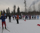 На зеленоградской лыжероллерной трассе состоялись финальные окружные соревнования по лыжным гонкам