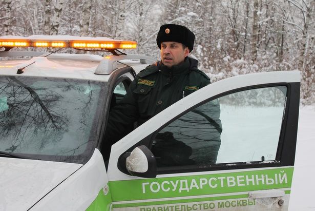 На природных территориях Москвы стартуют рейды по пресечению незаконной вырубки хвойников