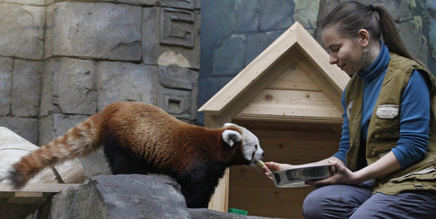 Московский зоопарк переходит на летний режим работы
