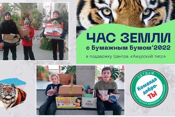 Волонтеры Зеленоградского дворца присоединились к акции «Бумажный бум»