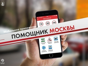 Более 20 тыс. человек стали «помощниками Москвы» за первые две недели работы приложения