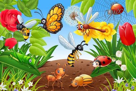 В КЦ «Зеленоград» для детей пройдет познавательная программа о мире насекомых