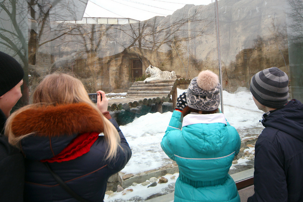 «Населению» Московского зоопарка устроят День святого Валентина