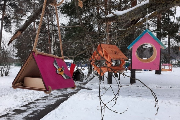 Зеленоградский лесопарк украсят авторские кормушки для зимующих птиц