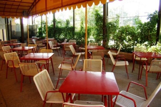 В Зеленограде могут открыться 44 летних кафе, два из них – в Старом Крюково