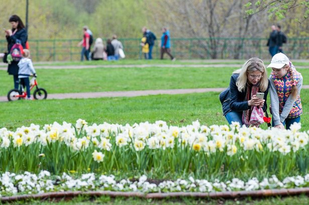 Активные граждане выбирают занятия для детей в природных парках Москвы