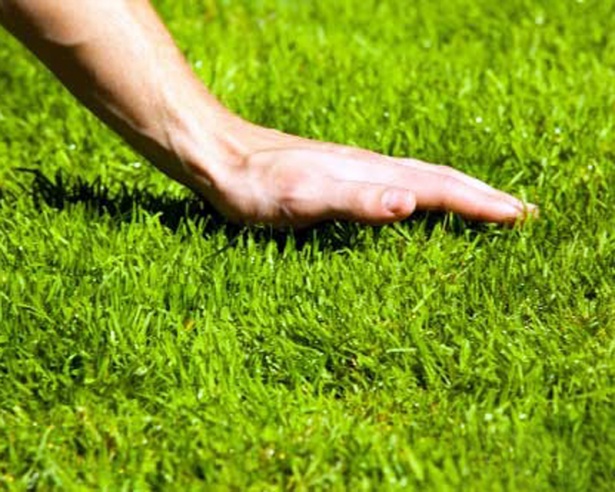 Москвичи выбирают регулярную стрижку газонов во дворах и на улицах