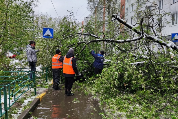 В Зеленограде устраняют последствия первомайского снегопада