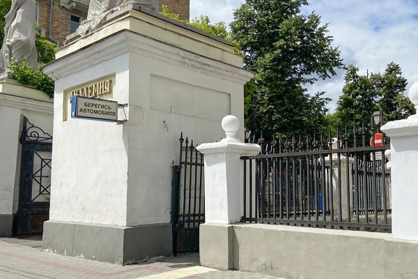Реставрацию парадных ворот Александринского дворца завершат в сентябре