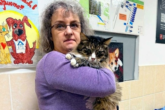 Два кота из приюта «Зеленоград» нашли новый дом в новогоднюю ночь