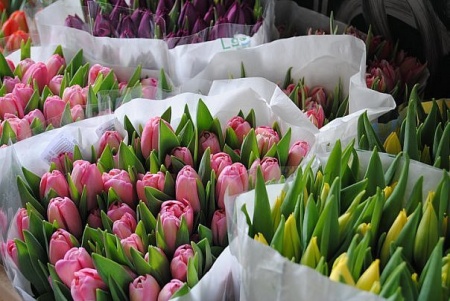 В Зеленограде будут пресекать незаконную торговлю цветами