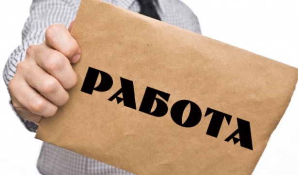Участникам «Московского дня занятости» предложат вакансии в различных областях деятельности