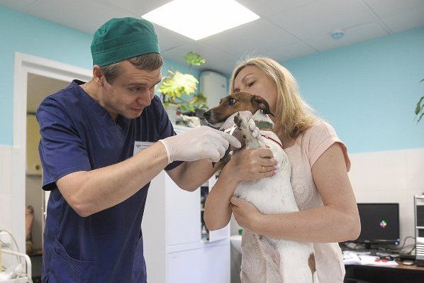 Жители Старого Крюково смогут бесплатно привить своих питомцев от бешенства на пункте в 9-м микрорайоне