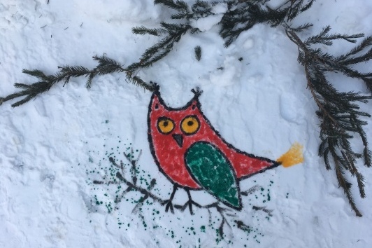 Зеленоградцев приглашают порисовать на «снежном холсте»