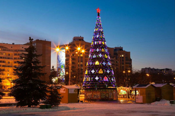 Зеленоградские коммерческие организации подарят городу свыше 20 новогодних елей