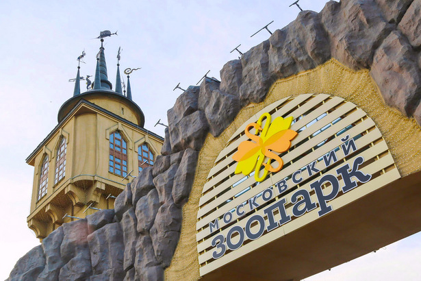 Московский зоопарк покажет молодоженам свадебные площадки