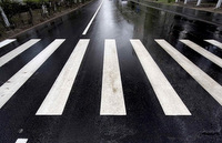 За один день операции «Пешеходный переход» в Зеленограде выявлено 64 нарушителя правил дорожного движения