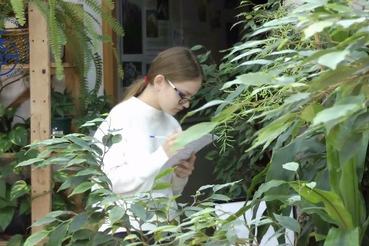 Одиннадцатиклассница школы №853 стала призером Московского городского конкурса «Природа России»