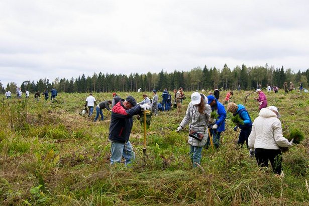 11 мая в Подмосковье прошла ежегодная экологическая акция «Лес Победы»