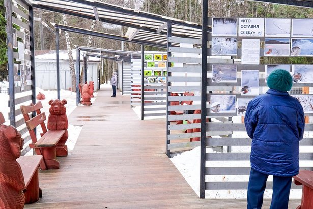 Любителей природы приглашают на экскурсию  «Древесные растения»