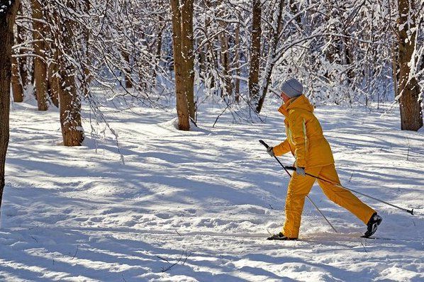 Жителей Зеленограда приглашают присоединиться к московскому этапу «Лыжни России 2021»