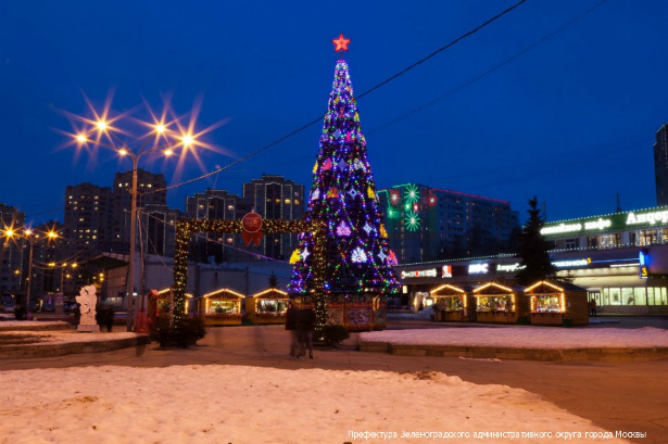 Куроедов: В новогоднюю ночь Зеленоград будет ярким и красивым