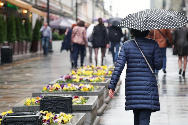 За прошедшие сутки в Московском регионе выпало более 20% осадков от месячной нормы