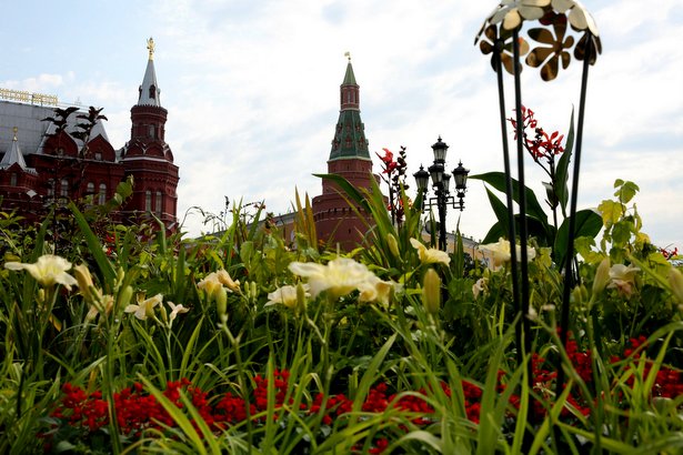 Яркие мероприятия ждут москвичей в последний день фестиваля «Цветочный джем»