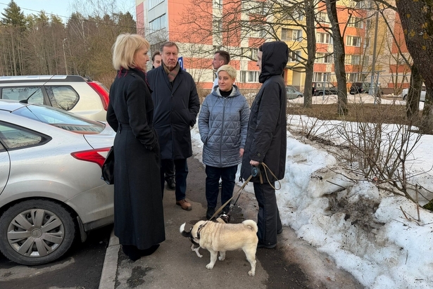 В Старом Крюково состоялся плановый обход дворовых территорий