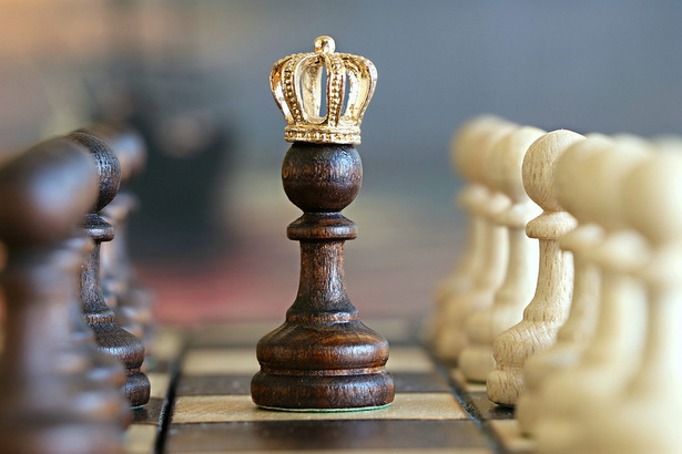 В Зеленограде открывается шахматная школа Анатолия Карпова