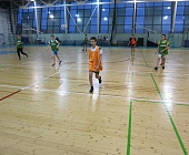 Команда района Старое Крюково стала серебряным призёром финальных окружных соревнований по мини-футболу