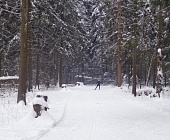 Жители района Старое Крюково в выходные ходили на лыжах и играли в хоккей