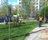 В Старом Крюково продолжаются работы на дворовых территориях в рамках благоустройства 2022 года
