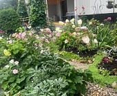 В Старом Крюково наградили победителей и участников конкурса «Цветы у дома»