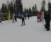 На зеленоградской лыжероллерной трассе состоялись финальные окружные соревнования по лыжным гонкам