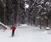 Жители района Старое Крюково в выходные ходили на лыжах и играли в хоккей