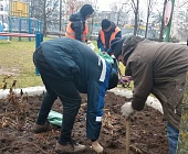 70 дворников выполняли работы по текущему санитарному содержанию территории района Старое Крюково в выходные дни