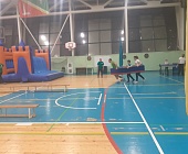 Команда района Старое Крюково стала призером финальных окружных соревнований спортивных семей «Весенние забавы»